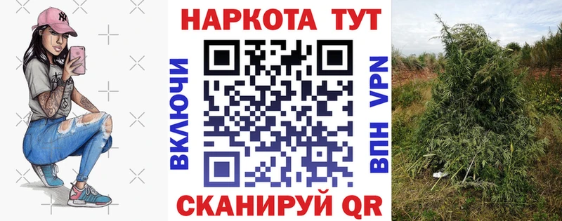 Купить закладку Ярославль ГАШ  Кокаин  Меф мяу мяу  А ПВП  МАРИХУАНА 